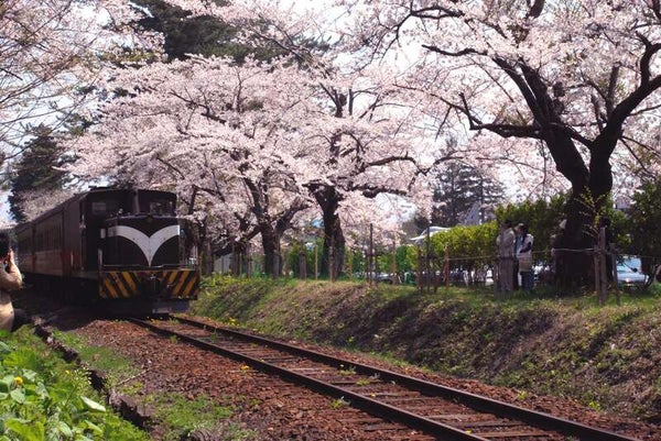 【秋田県内発】 青森 5桜名所巡る 「弘前公園」「芦野公園」「高山稲荷」「鶴の舞橋」「岩木山桜並木」 2日間3